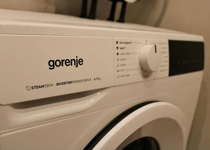 Apartament Laura-spacious On The Main *